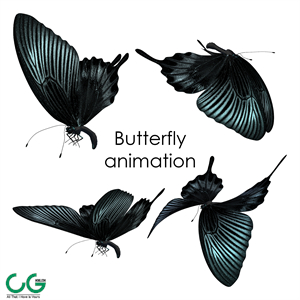 Butterfly animation
